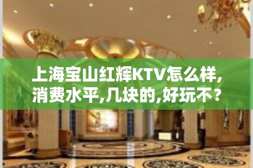 上海宝山红辉KTV怎么样,消费水平,几块的,好玩不？