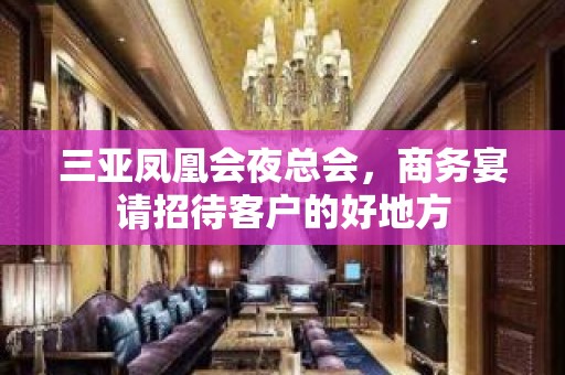 三亚凤凰会夜总会，商务宴请招待客户的好地方