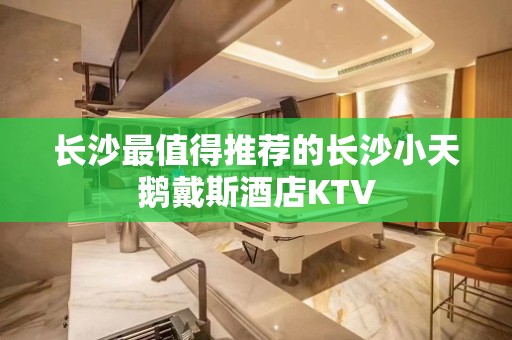 长沙最值得推荐的长沙小天鹅戴斯酒店KTV