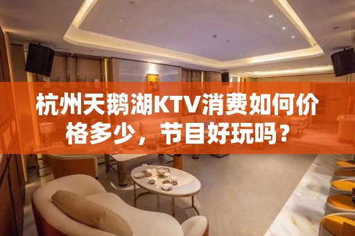 杭州天鹅湖KTV消费如何价格多少，节目好玩吗？