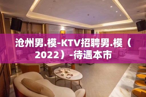 沧州男.模-KTV招聘男.模（2022）-待遇本市