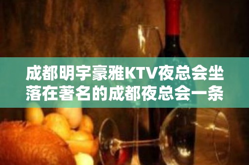 成都明宇豪雅KTV夜总会坐落在著名的成都夜总会一条街