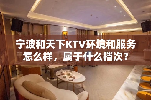 宁波和天下KTV环境和服务怎么样，属于什么档次？