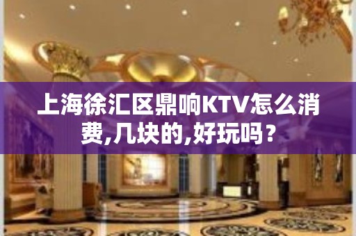 上海徐汇区鼎响KTV怎么消费,几块的,好玩吗？