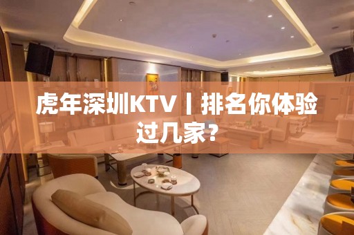 虎年深圳KTV丨排名你体验过几家？