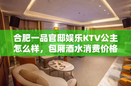 合肥一品官邸娱乐KTV公主怎么样，包厢酒水消费价格表。