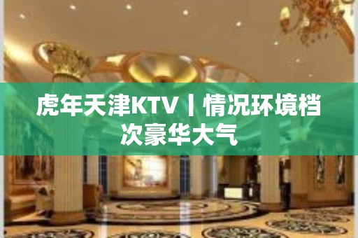 虎年天津KTV丨情况环境档次豪华大气