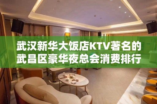 武汉新华大饭店KTV著名的武昌区豪华夜总会消费排行一览。