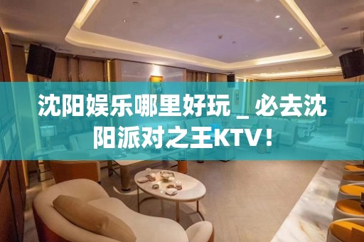 沈阳娱乐哪里好玩＿必去沈阳派对之王KTV！