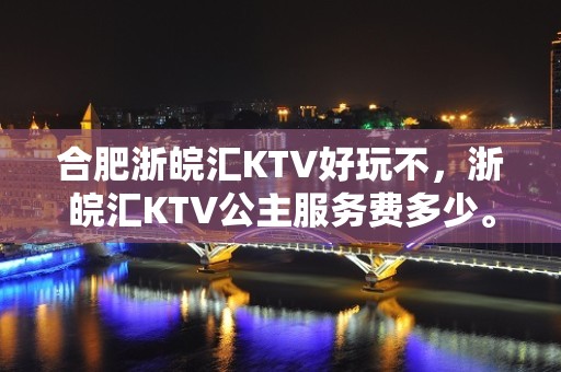 合肥浙皖汇KTV好玩不，浙皖汇KTV公主服务费多少。