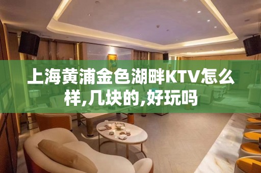 上海黄浦金色湖畔KTV怎么样,几块的,好玩吗