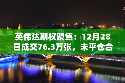 英伟达期权聚焦：12月28日成交76.3万张，未平仓合约356.53万张