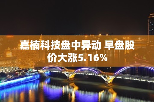 嘉楠科技盘中异动 早盘股价大涨5.16%