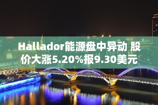 Hallador能源盘中异动 股价大涨5.20%报9.30美元