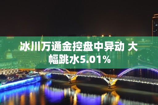 冰川万通金控盘中异动 大幅跳水5.01%