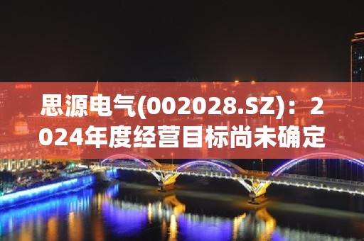 思源电气(002028.SZ)：2024年度经营目标尚未确定