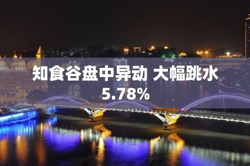 知食谷盘中异动 大幅跳水5.78%