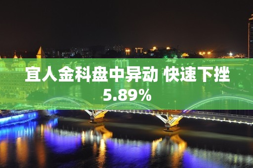 宜人金科盘中异动 快速下挫5.89%