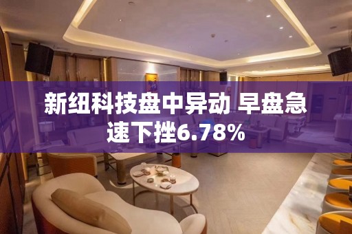 新纽科技盘中异动 早盘急速下挫6.78%