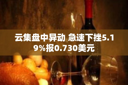 云集盘中异动 急速下挫5.19%报0.730美元