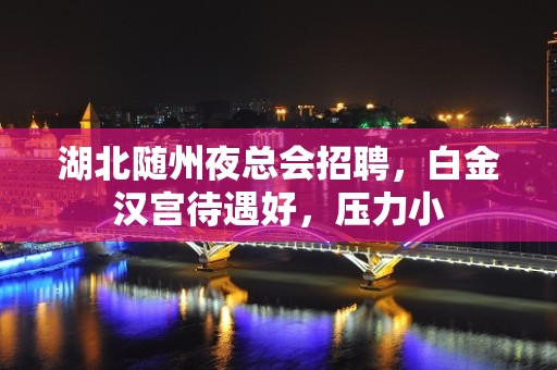 湖北随州夜总会招聘，白金汉宫待遇好，压力小