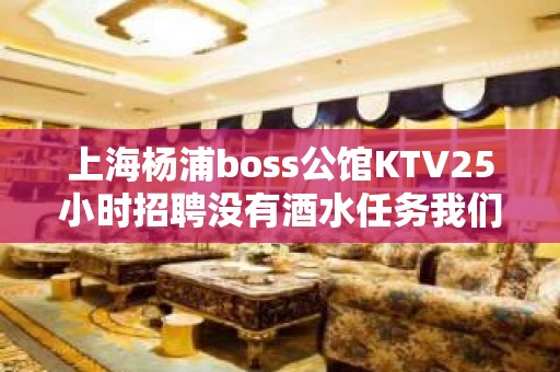 上海杨浦boss公馆KTV25小时招聘没有酒水任务我们不关门