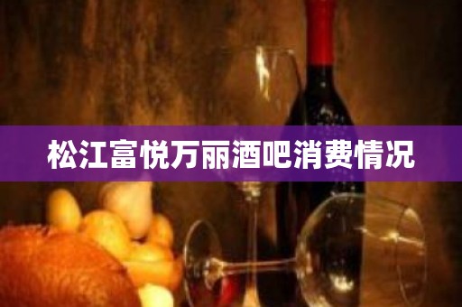 松江富悦万丽酒吧消费情况