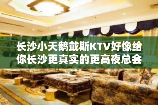 长沙小天鹅戴斯KTV好像给你长沙更真实的更高夜总会享受