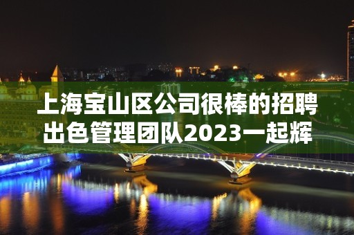 上海宝山区公司很棒的招聘出色管理团队2023一起辉煌