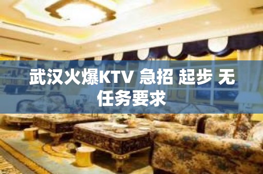 武汉火爆KTV 急招 起步 无任务要求