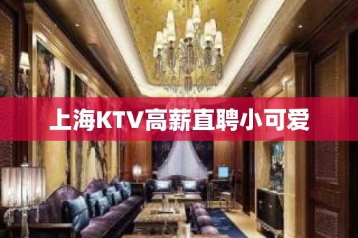 上海KTV高薪直聘小可爱