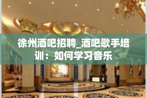 徐州酒吧招聘_酒吧歌手培训：如何学习音乐