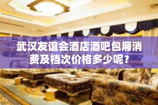 武汉友谊会酒店酒吧包厢消费及档次价格多少呢？