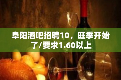 阜阳酒吧招聘10，旺季开始了/要求1.60以上