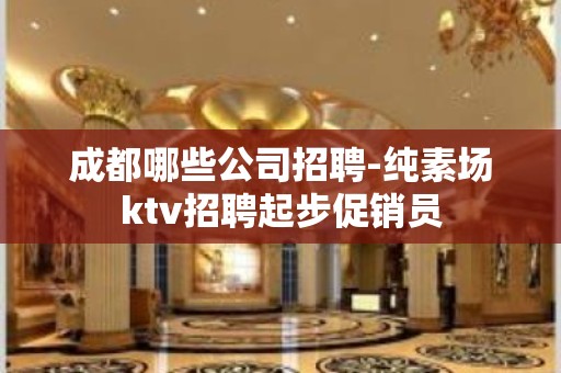 成都哪些公司招聘-纯素场ktv招聘起步促销员