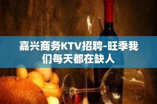 嘉兴商务KTV招聘-旺季我们每天都在缺人