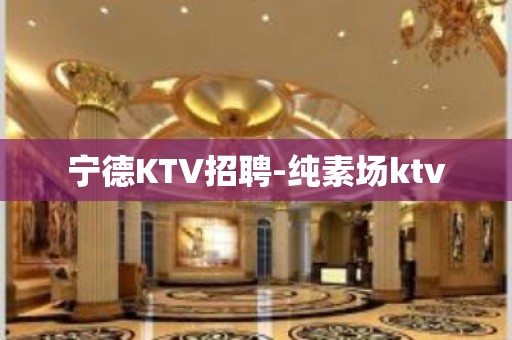 宁德KTV招聘-纯素场ktv