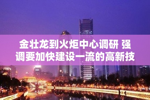 金壮龙到火炬中心调研 强调要加快建设一流的高新技术发展及产业化促进机构