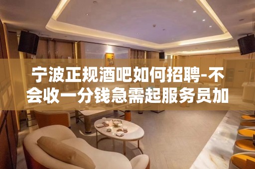 宁波正规酒吧如何招聘-不会收一分钱急需起服务员加入