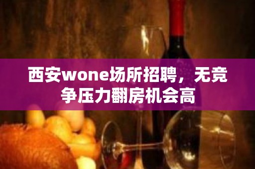 西安wone场所招聘，无竞争压力翻房机会高