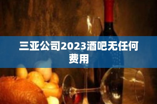 三亚公司2023酒吧无任何费用