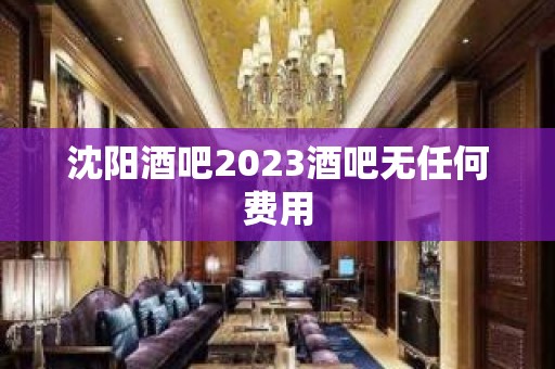 沈阳酒吧2023酒吧无任何费用