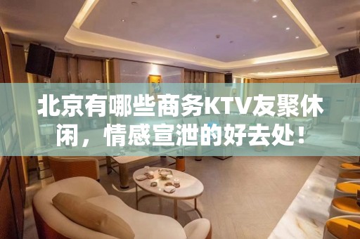 北京有哪些商务KTV友聚休闲，情感宣泄的好去处！