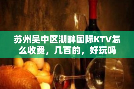 苏州吴中区湖畔国际KTV怎么收费，几百的，好玩吗