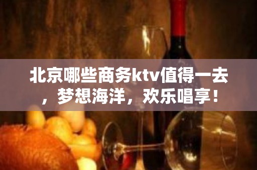 北京哪些商务ktv值得一去，梦想海洋，欢乐唱享！