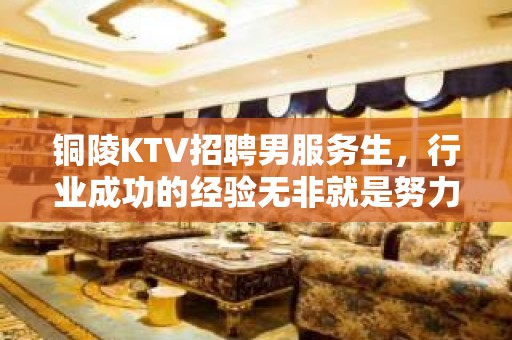 铜陵KTV招聘男服务生，行业成功的经验无非就是努力