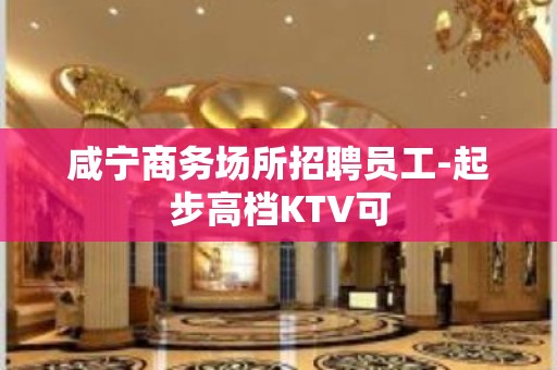 咸宁商务场所招聘员工-起步高档KTV可