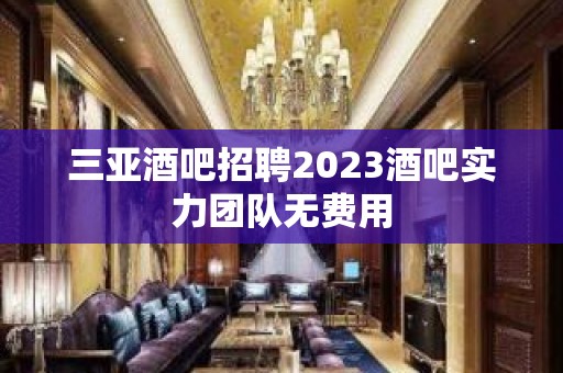 三亚酒吧招聘2023酒吧实力团队无费用