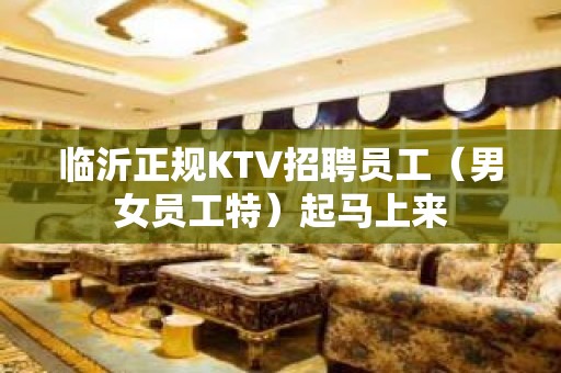 临沂正规KTV招聘员工（男女员工特）起马上来