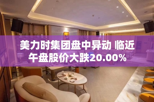 美力时集团盘中异动 临近午盘股价大跌20.00%